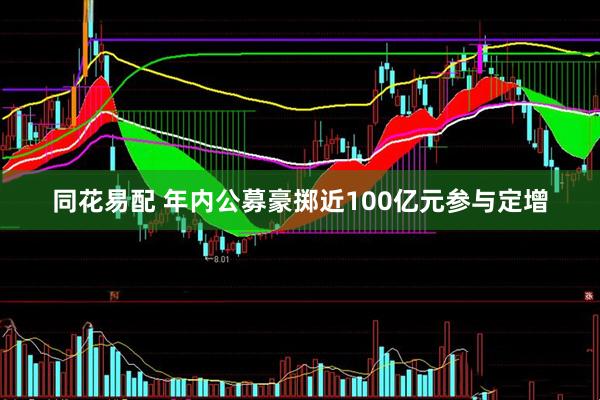 同花易配 年内公募豪掷近100亿元参与定增