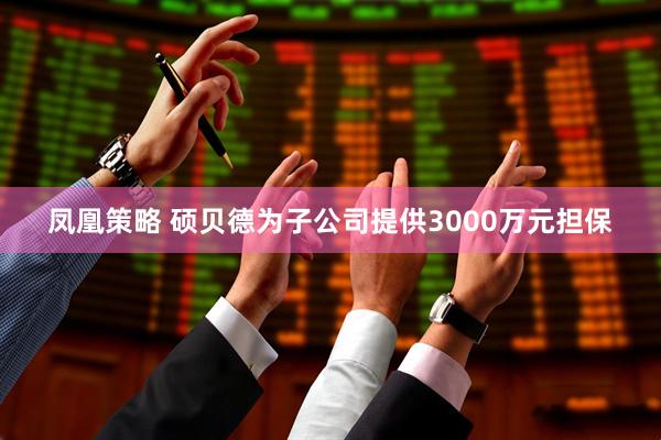 凤凰策略 硕贝德为子公司提供3000万元担保