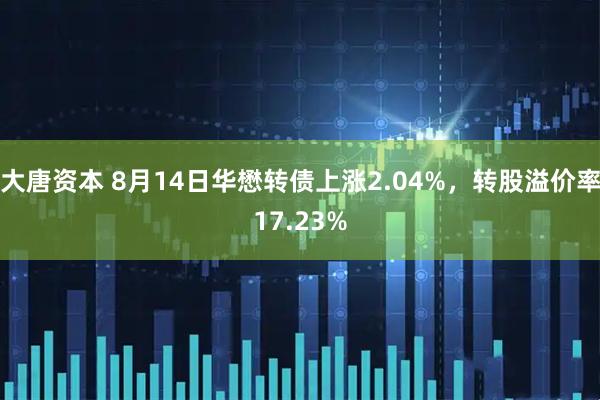 大唐资本 8月14日华懋转债上涨2.04%，转股溢价率17.23%